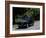 1936 Peugeot 302-null-Framed Photographic Print