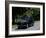 1936 Peugeot 302-null-Framed Photographic Print