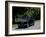 1936 Peugeot 302-null-Framed Photographic Print