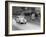 1937 Fiat 500 Coupe Competing in the Welsh Rally-null-Framed Photographic Print