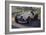 1937 Mercedes Benz W125-null-Framed Photographic Print