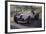 1937 Mercedes Benz W125-null-Framed Photographic Print