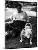 1938 Morris + Essex Dog Show. English Bulldog-null-Mounted Photographic Print