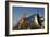 1940's Pin-Up Girl Standing on the Wing of a World War II T-6 Texan-null-Framed Photographic Print