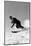 1940s MAN DOWNHILL SKIING WINTER OUTDOOR-H. Armstrong Roberts-Mounted Photographic Print