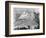 1940s Mount Rushmore South Dakota-null-Framed Photographic Print