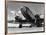 1940s Passenger Airplane-H^ Armstrong Roberts-Framed Art Print