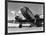 1940s Passenger Airplane-H^ Armstrong Roberts-Framed Art Print