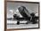 1940s Passenger Airplane-H^ Armstrong Roberts-Framed Art Print