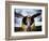 1945: Single Engine Plane-Stephen Arens-Framed Photographic Print