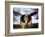 1945: Single Engine Plane-Stephen Arens-Framed Photographic Print