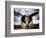 1945: Single Engine Plane-Stephen Arens-Framed Photographic Print