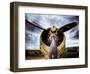 1945: Single Engine Plane-Stephen Arens-Framed Photographic Print