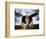 1945: Single Engine Plane-Stephen Arens-Framed Photographic Print