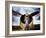 1945: Single Engine Plane-Stephen Arens-Framed Photographic Print