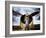 1945: Single Engine Plane-Stephen Arens-Framed Photographic Print