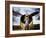 1945: Single Engine Plane-Stephen Arens-Framed Photographic Print