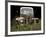 1947 Ford-Larry Hunter-Framed Photographic Print