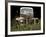 1947 Ford-Larry Hunter-Framed Photographic Print