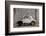 1948 Fiat Torbelino Car, Restoration Project, Alexandria, Egypt-Peter Adams-Framed Photographic Print