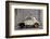 1948 Fiat Torbelino Car, Restoration Project, Alexandria, Egypt-Peter Adams-Framed Photographic Print