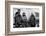 1950: F-86 Sabre Jet Pilots. in Center Is Colonial John C. Meyer-John Dominis-Framed Photographic Print