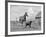 1950s-1960s Black Dog Leading Horse by Holding Rope Halter in His Mouth-null-Framed Photographic Print