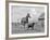 1950s-1960s Black Dog Leading Horse by Holding Rope Halter in His Mouth-null-Framed Photographic Print