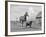 1950s-1960s Black Dog Leading Horse by Holding Rope Halter in His Mouth-null-Framed Photographic Print