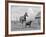 1950s-1960s Black Dog Leading Horse by Holding Rope Halter in His Mouth-null-Framed Photographic Print