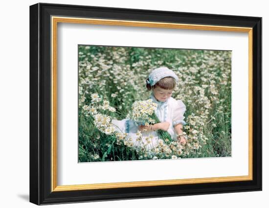 1950s 1960s LITTLE GIRL IN WHITE HAT AND DRESS PICKING WILDFLOWERS DAISES SITTING IN A WILD FLOW...-H. Armstrong Roberts-Framed Photographic Print