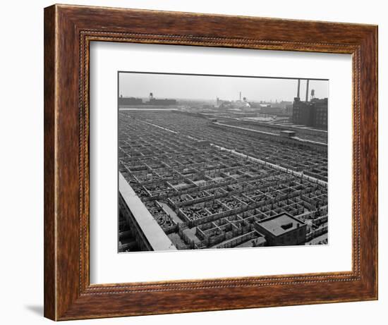 1950s Aerial View of Cattle Pens at the Union Stock Yard and Transit Company Chicago,-null-Framed Photographic Print