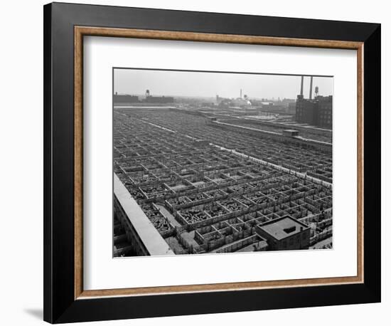 1950s Aerial View of Cattle Pens at the Union Stock Yard and Transit Company Chicago,-null-Framed Photographic Print