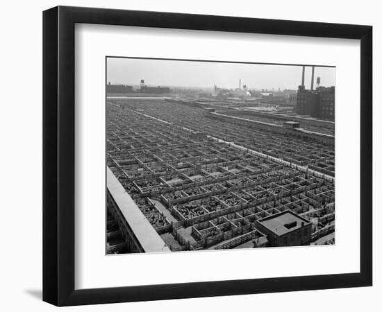 1950s Aerial View of Cattle Pens at the Union Stock Yard and Transit Company Chicago,-null-Framed Photographic Print