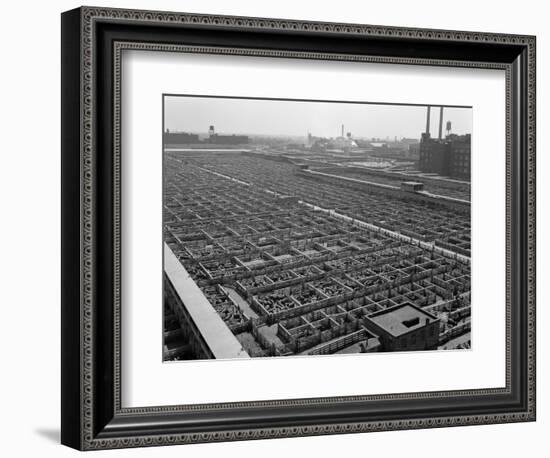 1950s Aerial View of Cattle Pens at the Union Stock Yard and Transit Company Chicago,-null-Framed Photographic Print