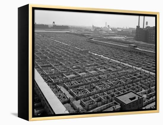 1950s Aerial View of Cattle Pens at the Union Stock Yard and Transit Company Chicago,-null-Framed Premier Image Canvas