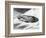1950s Artist's Conception UFO Flying Saucer-null-Framed Photographic Print