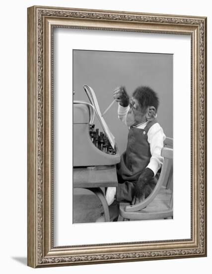 1950s CHIMP IN OVERALLS SITTING IN CHAIR AT TYPEWRITER WITH PENCIL & STENO PAD-H. Armstrong Roberts-Framed Photographic Print