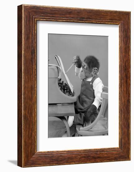 1950s CHIMP IN OVERALLS SITTING IN CHAIR AT TYPEWRITER WITH PENCIL & STENO PAD-H. Armstrong Roberts-Framed Photographic Print