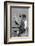 1950s CHIMP IN OVERALLS SITTING IN CHAIR AT TYPEWRITER WITH PENCIL & STENO PAD-H. Armstrong Roberts-Framed Photographic Print