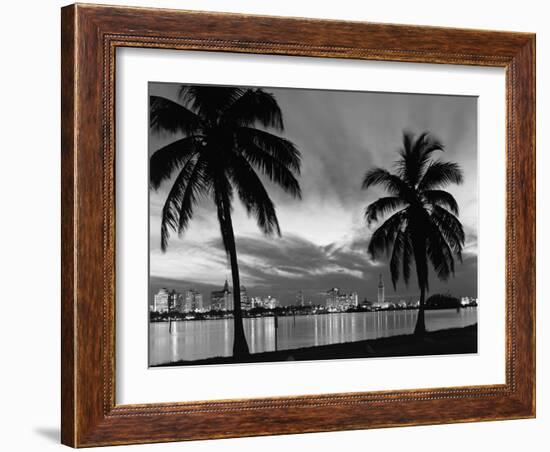 1950s Night Skyline View across the Bay Two Palm Trees Silhouetted in Foreground Miami, Florida-null-Framed Photographic Print