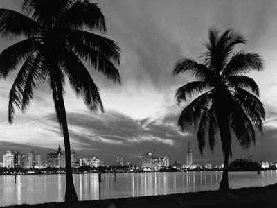 Florida Black and White Photography Wall Art: Prints, Paintings