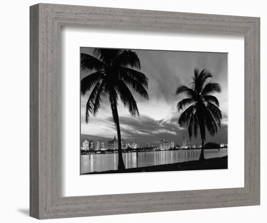 1950s Night Skyline View across the Bay Two Palm Trees Silhouetted in Foreground Miami, Florida-null-Framed Photographic Print