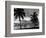 1950s Night Skyline View across the Bay Two Palm Trees Silhouetted in Foreground Miami, Florida-null-Framed Photographic Print