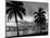 1950s Night Skyline View across the Bay Two Palm Trees Silhouetted in Foreground Miami, Florida-null-Mounted Photographic Print