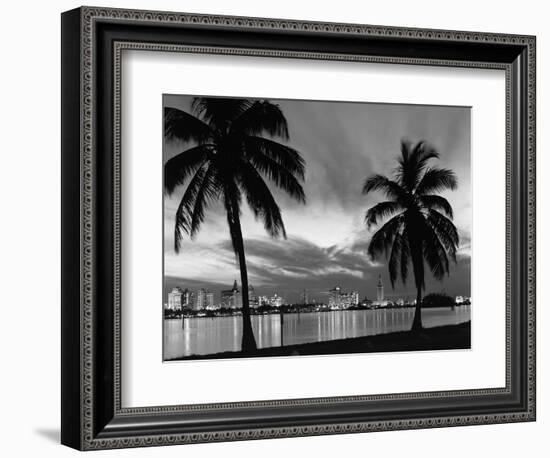 1950s Night Skyline View across the Bay Two Palm Trees Silhouetted in Foreground Miami, Florida-null-Framed Photographic Print