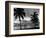 1950s Night Skyline View across the Bay Two Palm Trees Silhouetted in Foreground Miami, Florida-null-Framed Photographic Print