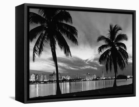 1950s Night Skyline View across the Bay Two Palm Trees Silhouetted in Foreground Miami, Florida-null-Framed Premier Image Canvas