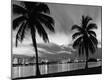 Premium Photographic Print