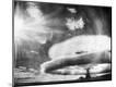 Photographic Print